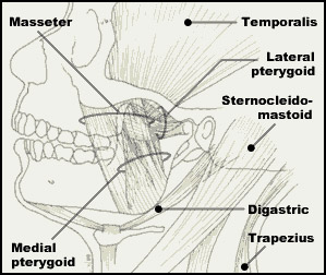 TMJ Treatment